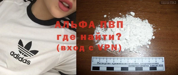 PSILOCYBIN Яровое