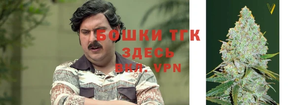 PSILOCYBIN Яровое