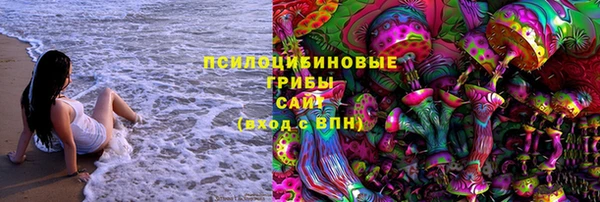 PSILOCYBIN Яровое
