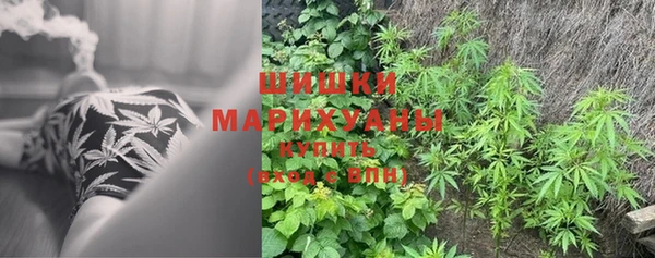 PSILOCYBIN Яровое