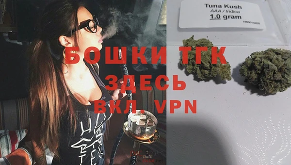 PSILOCYBIN Яровое