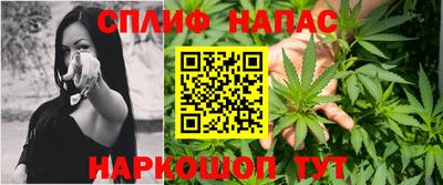 мдпв Ставрополь