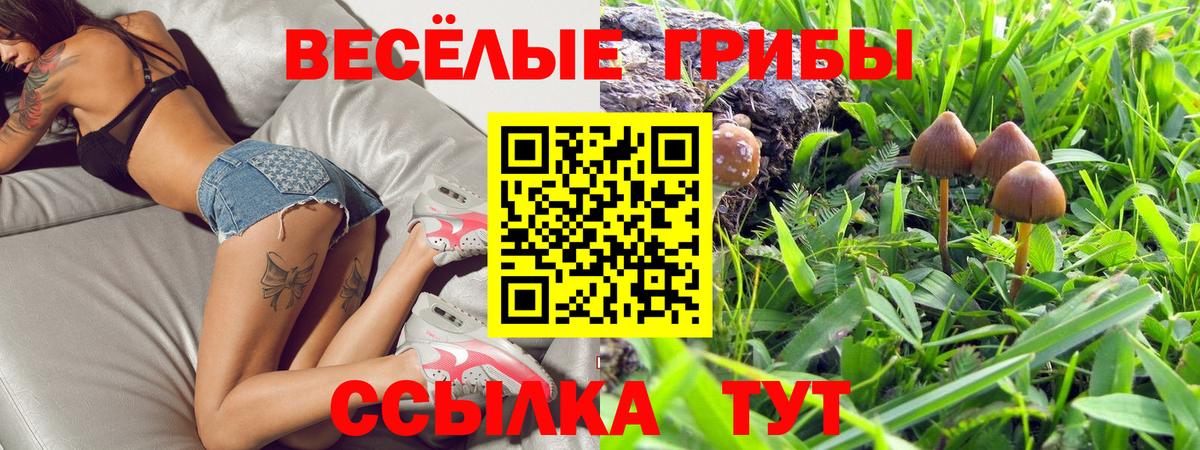 Псилоцибиновые грибы Psilocybe Салават