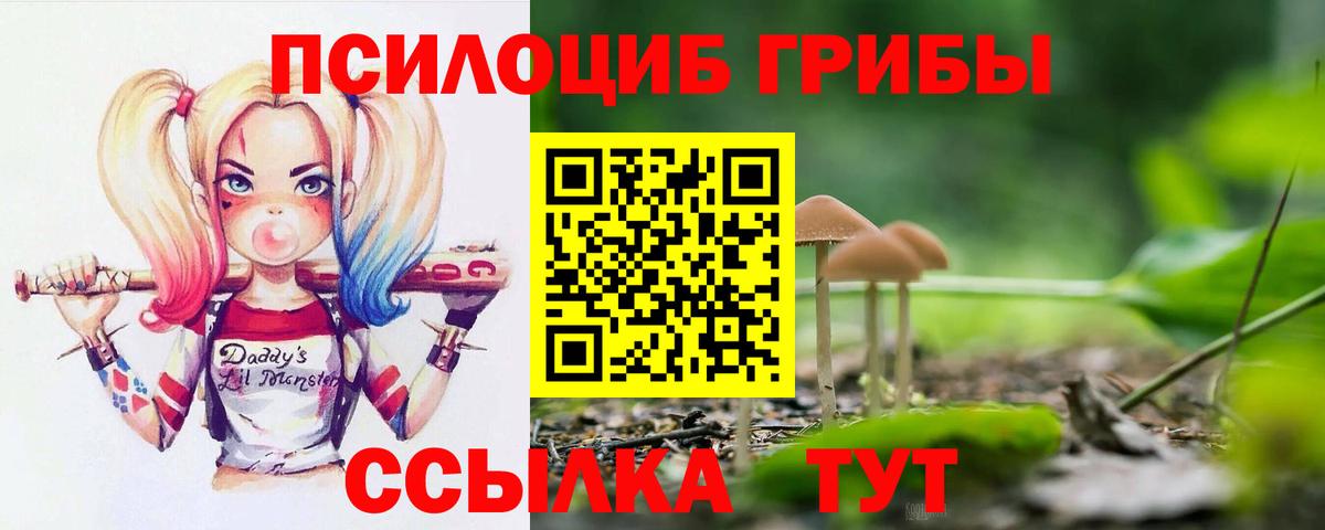 Салават  Галлюциногенные грибы мицелий  Вход с VPN 